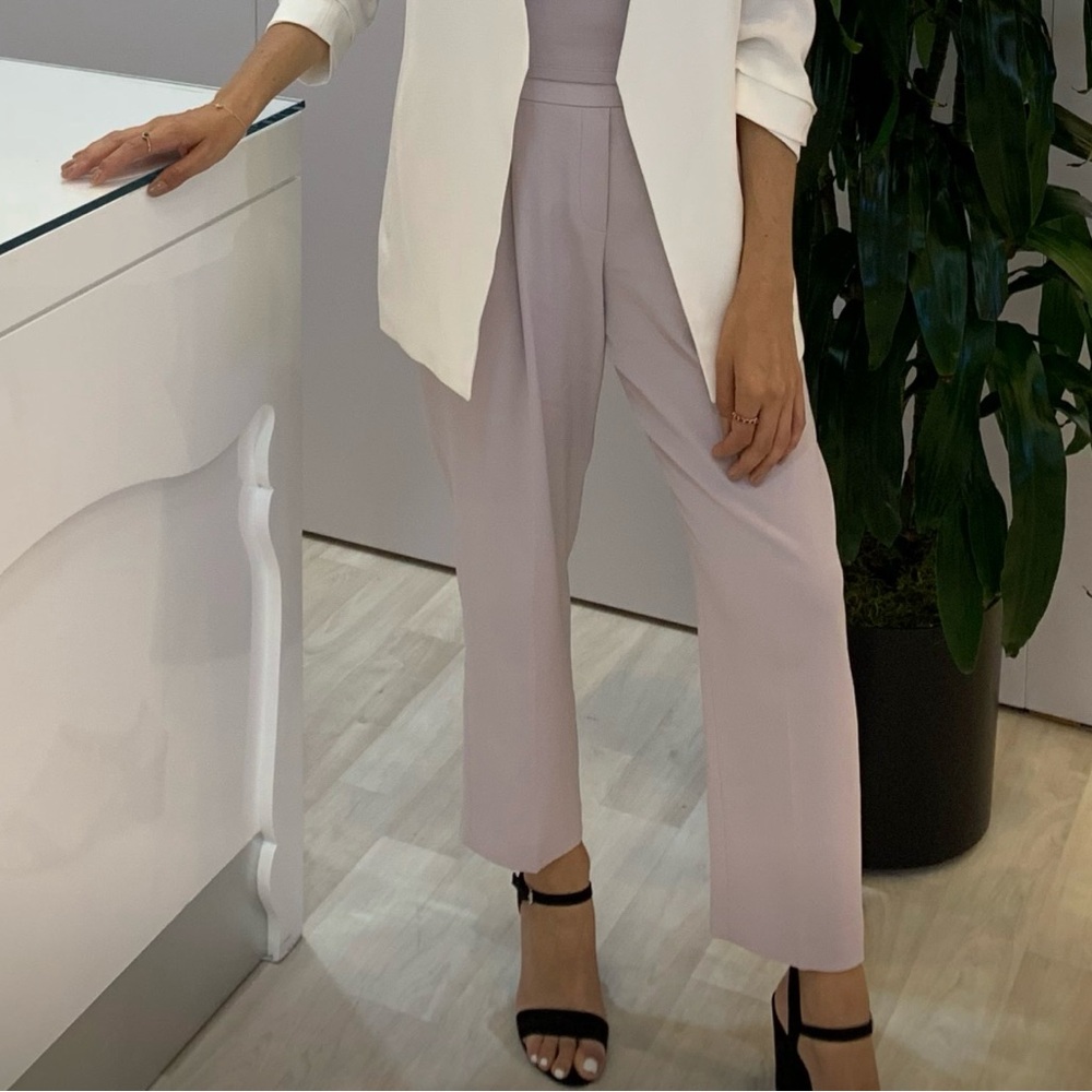Aritzia Trousers